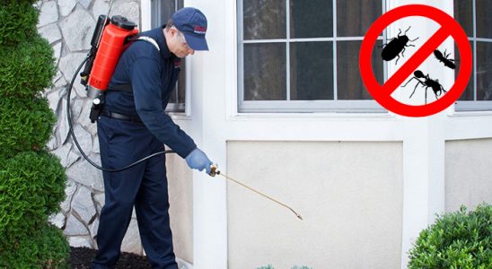 Aybastı Böcek İlaçlama böcek ilaçlama ve haşere kontrolü — ilaclama-tr.com